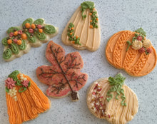 Load image into Gallery viewer, Decorated Cookies - Autumn Foliage, Pumpkins
